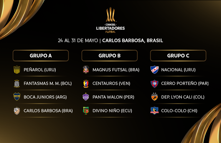 Grupo definido na Libertadores!